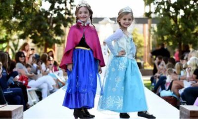 What Are the Different Disney Princess Dresses in the Market?